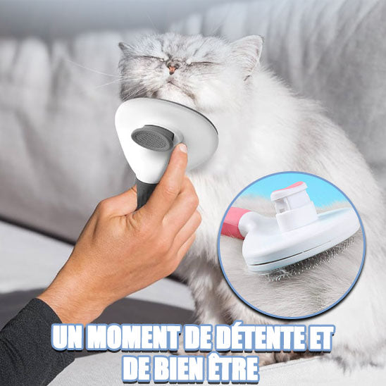 Brosse-pour-chat-SoftNeedle™-détente-et-bien-être