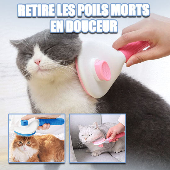 Brosse-pour-chat-SoftNeedle™-retire-poils-morts