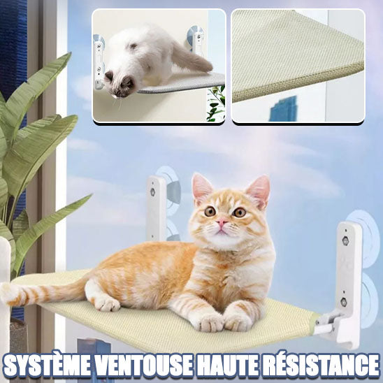 Hamac de fenêtre pour chat WindowSeat™ avec système de ventouse haute résistance