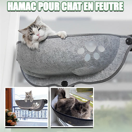 Hamac pour chat à ventouses CupingSun™ en matière feutre