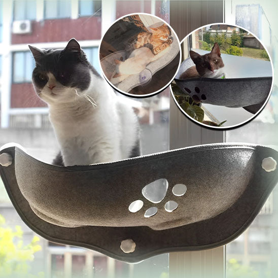 Hamac pour chat à ventouses CppingSun™ offre un espace de lumière