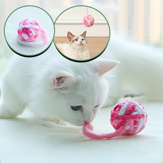 Chat jouant avec le jouet pour chat balle clochette BellBall™ dont la construction robuste assure une longévité exceptionnelle, tout en garantissant la sécurité de l'animal pendant le jeu