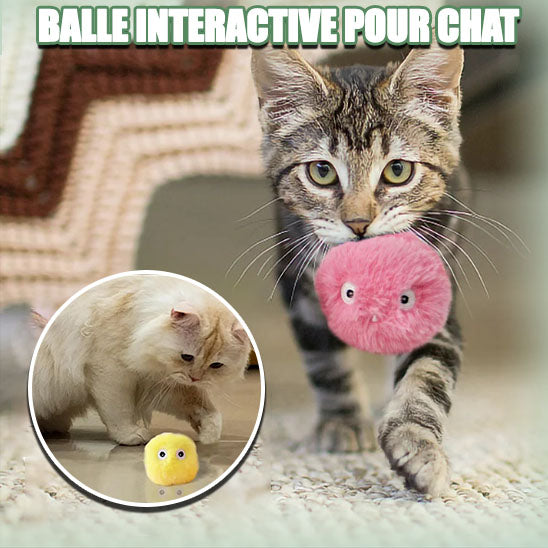 Chats jouant avec la balle interactive et sonore SoundingBall™, notre jouet pour chat