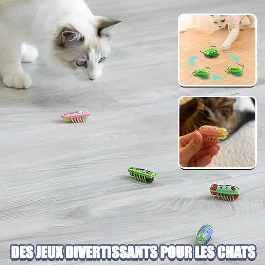 Jouet-pour-chat-insecte-FunnyBug-divertissant