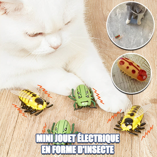 Jouet-pour-chat-insecte-FunnyBug-forme-électrique