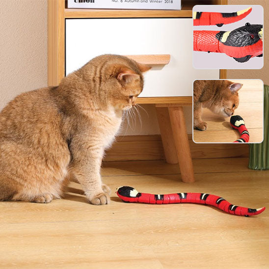 Jouet pour chat serpent InteractiveSnake™ offre une interaction intelligente