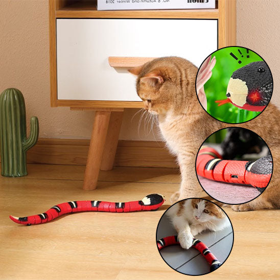 Jouet pour chat serpent InteractiveSnake™ stimule l'instinct de chasse 