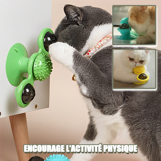 Jouet pour Chat Tourbillon Révolutionnaire | SwirlingFun™