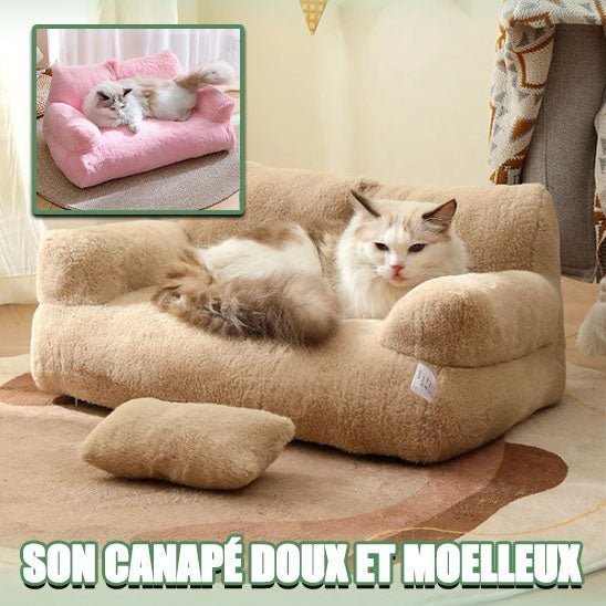 Canapé pour chat | Cushysofa™ - doux et moelleux