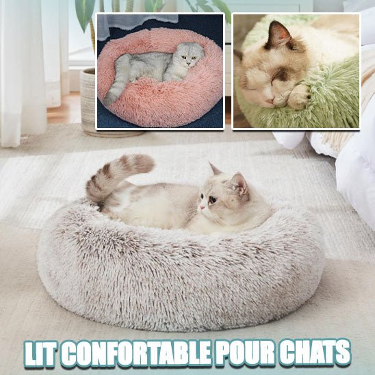 Coussin pour chat | Sweetdonut™ - Abracada'Cat