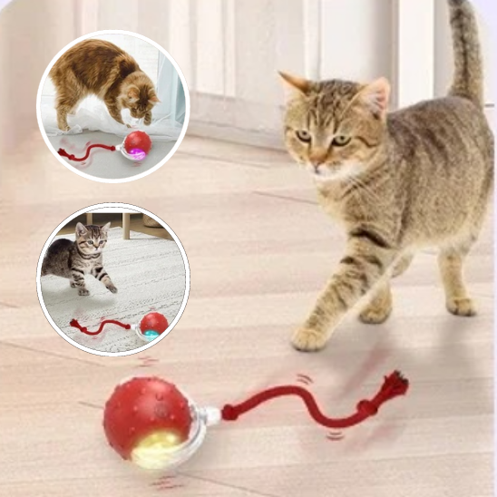 Jouet pour chat balle interactive | RollingChirp™