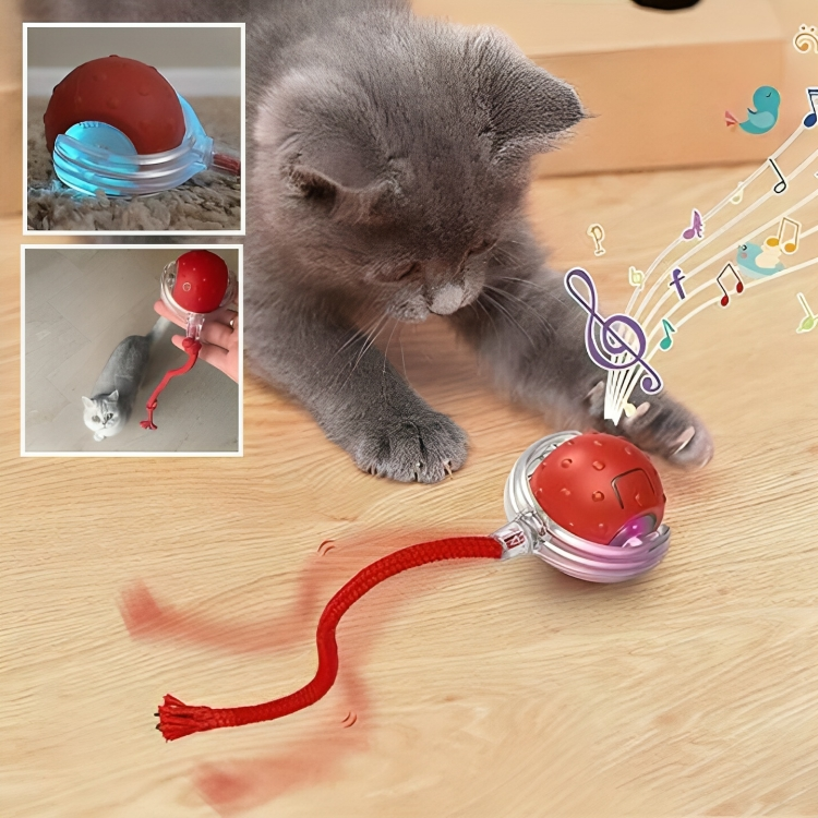 Jouet pour chat balle interactive | RollingChirp™