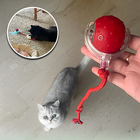 Jouet pour chat balle interactive | RollingChirp™