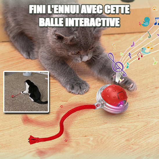 Jouet pour chat balle interactive | RollingChirp™