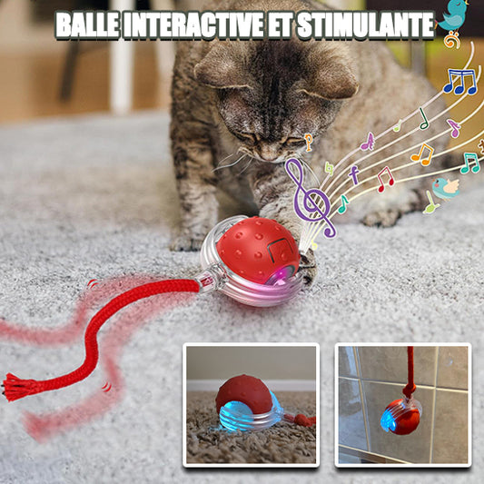 Jouet pour chat balle interactive | RollingChirp™