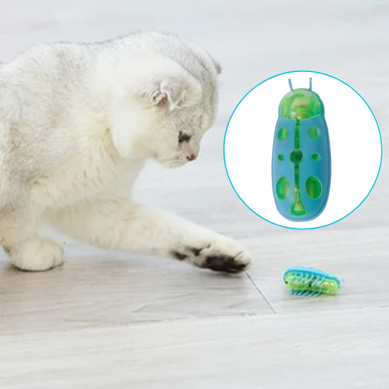 Jouet pour chat insecte | FunnyBug™