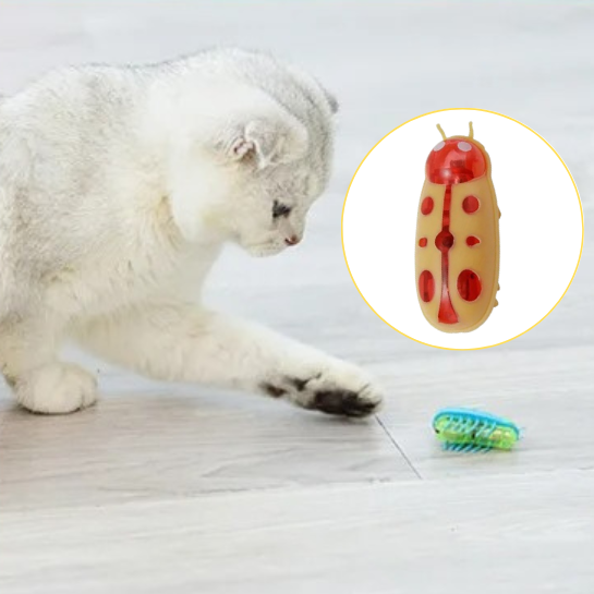 Jouet pour chat insecte | FunnyBug™