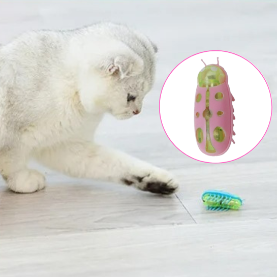 Jouet pour chat insecte | FunnyBug™