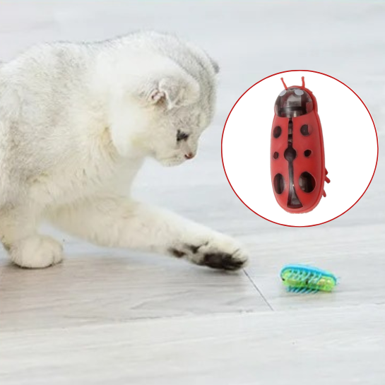 Jouet pour chat insecte | FunnyBug™