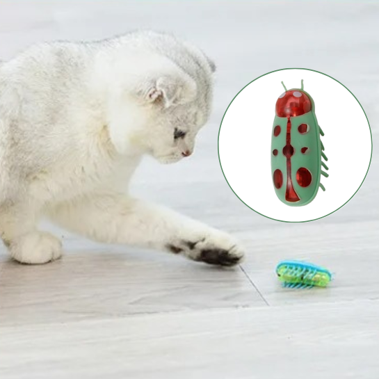 Jouet pour chat insecte | FunnyBug™